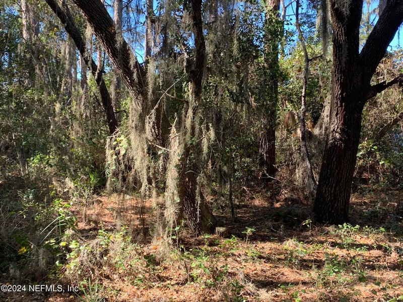 105 Palmer Dr, Interlachen, FL 32148