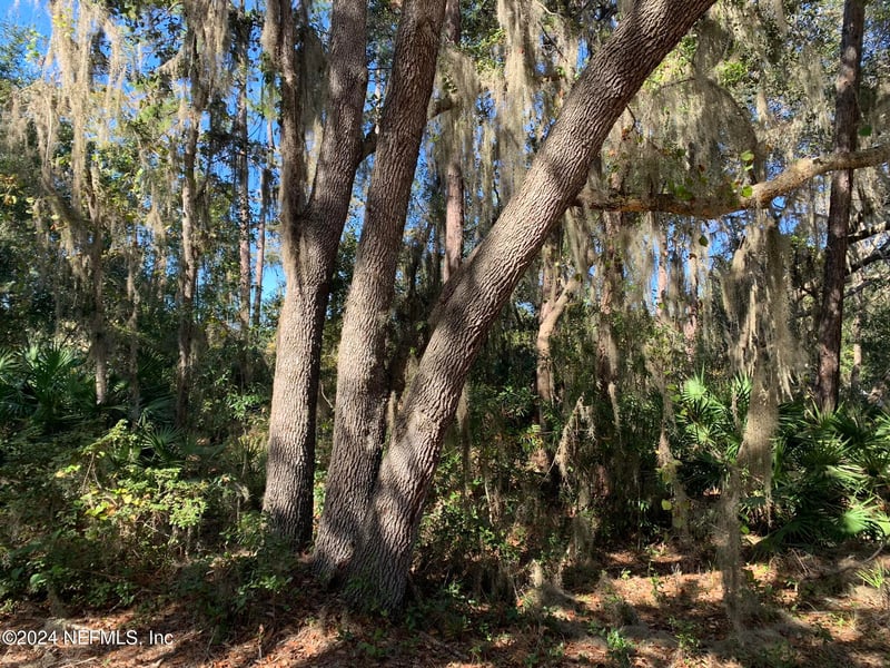 105 Palmer Dr, Interlachen, FL 32148