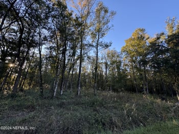 10175 Yeager Ave, Hastings, FL 32145