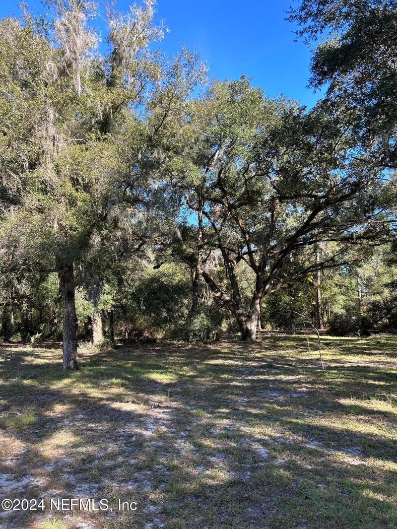 12003 225th Dr, Hawthorne, FL 32640