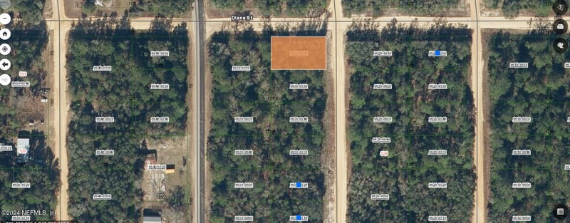 0000000 David Ave, Interlachen, FL 32148