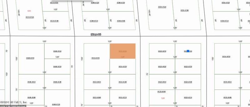 0000000 David Ave, Interlachen, FL 32148