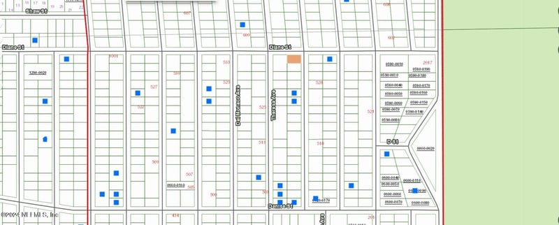 0000000 David Ave, Interlachen, FL 32148