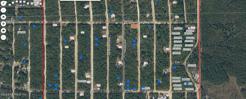 0000000 David Ave, Interlachen, FL 32148
