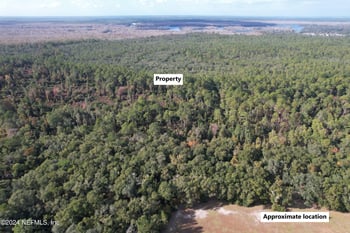 104 Frankfort St, Satsuma, FL 32189