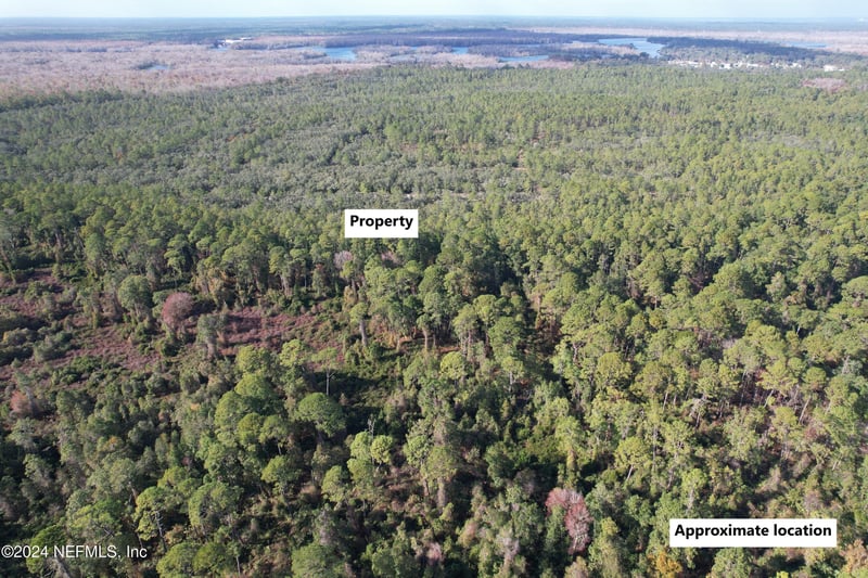 104 Frankfort St, Satsuma, FL 32189