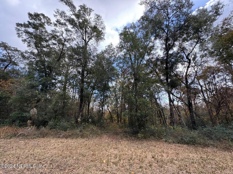 4110 Honeysuckle Cir, Middleburg, FL 32068