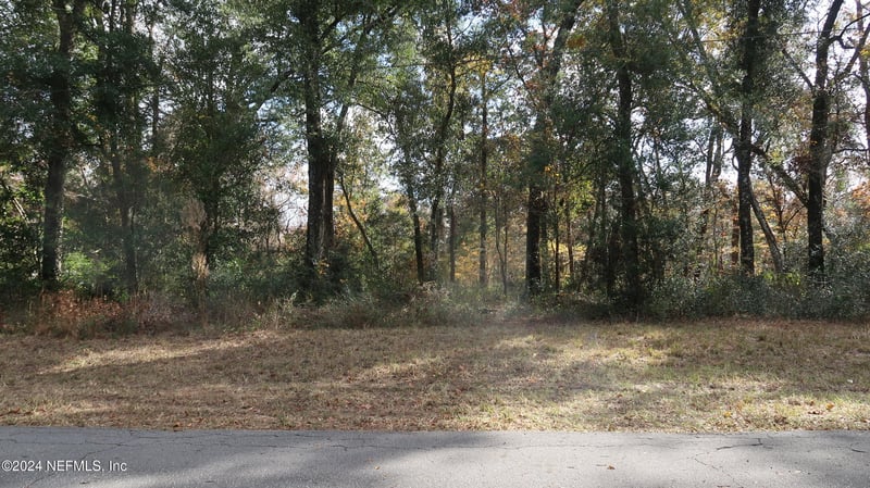 4110 Honeysuckle Cir, Middleburg, FL 32068