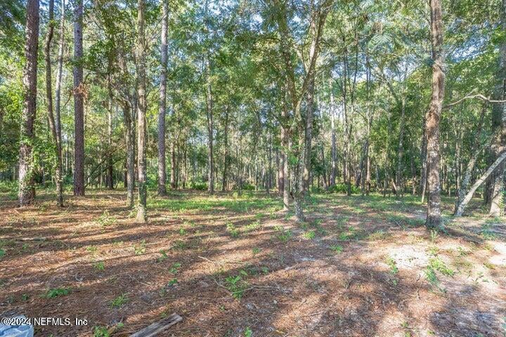 4843 Alligator Blvd, Middleburg, FL 32068