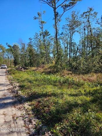 LOT38 N W 67th Pl, Jennings, FL 32053