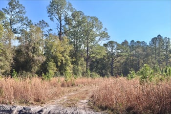 2989 Usina Rd, St Augustine, FL 32084