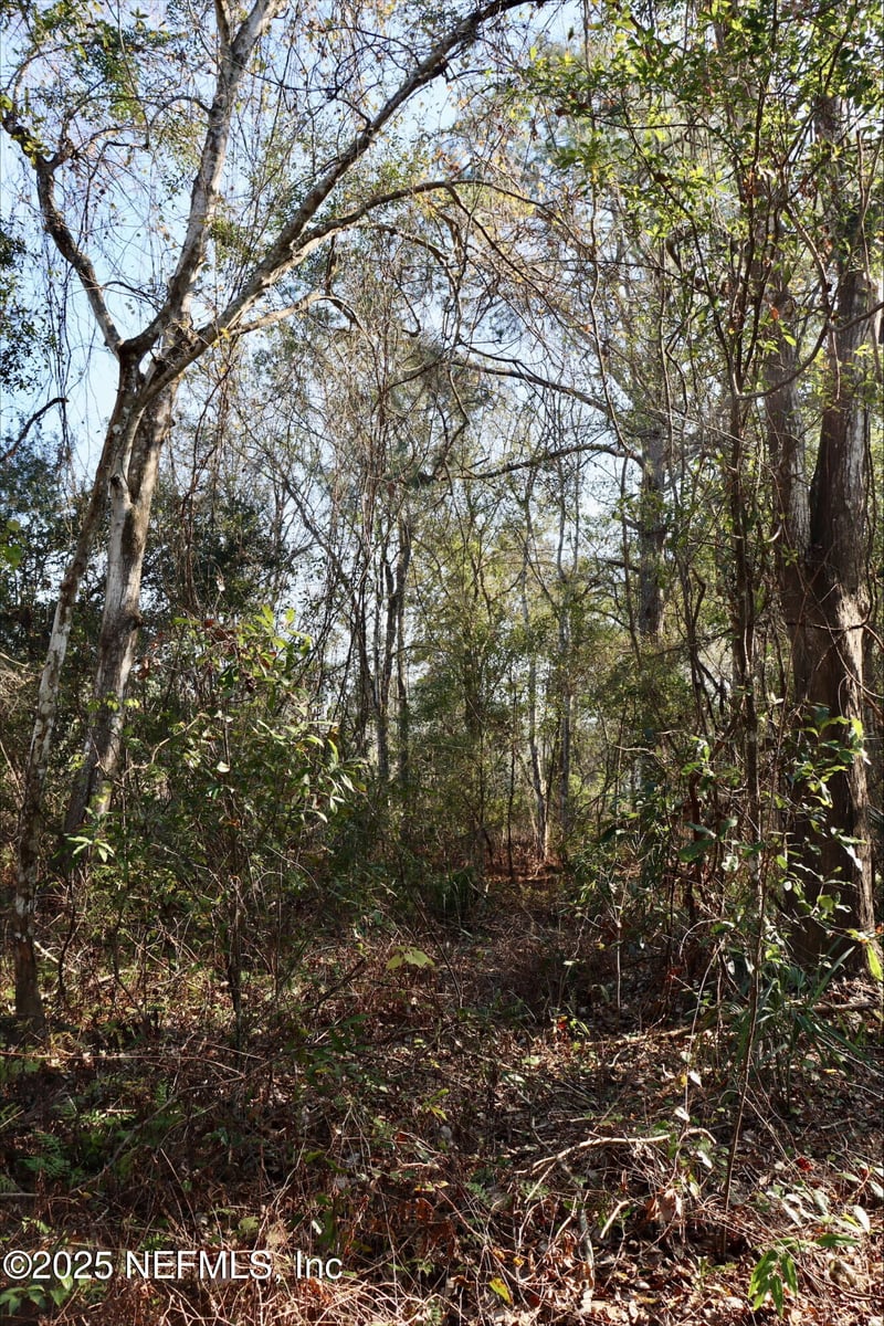 2989 Usina Rd, St Augustine, FL 32084