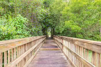 15760 Equine Gait Dr, Jacksonville, FL 32234