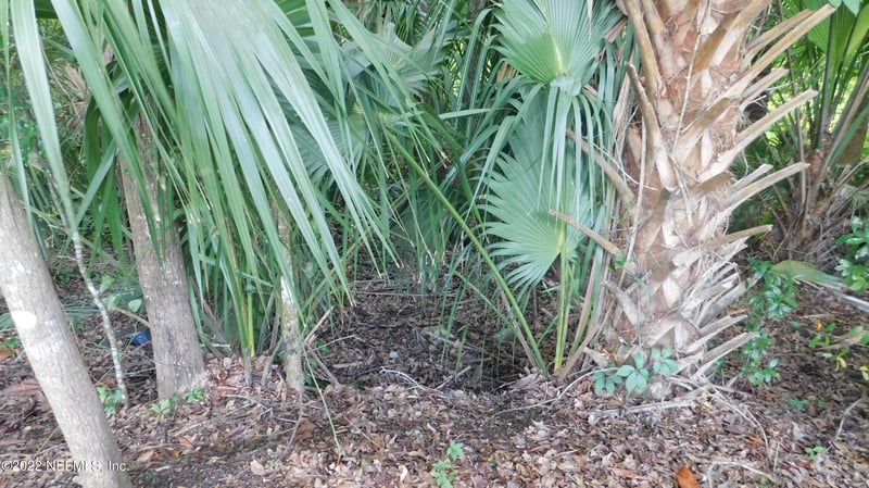 0 Mccowan Dr, Jacksonville, FL 32244