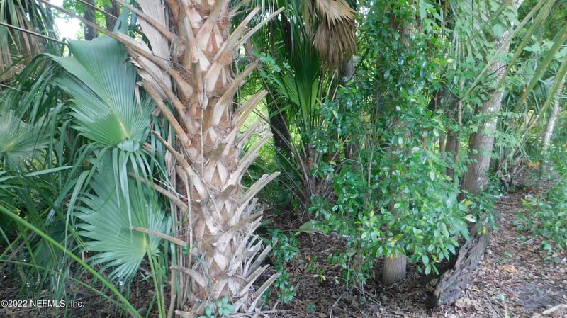 0 Mccowan Dr, Jacksonville, FL 32244