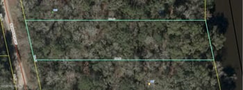 LOT 4 Madison Bluffs Way, Lee, FL 32059