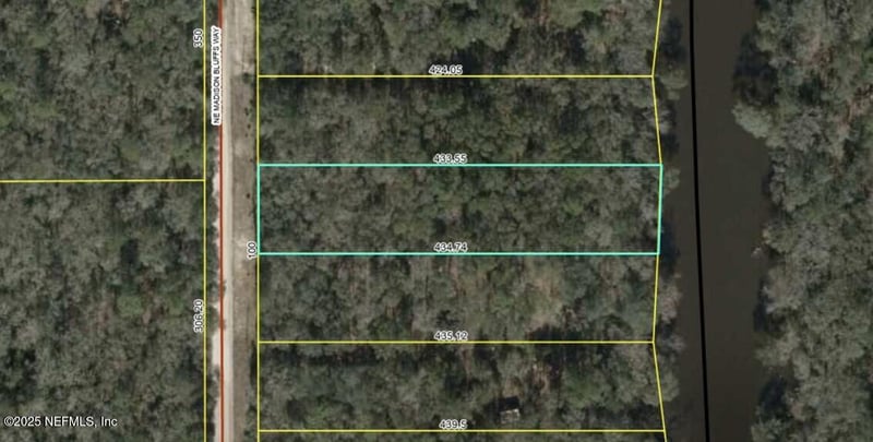 LOT 12 Madison Bluffs Way, Lee, FL 32059
