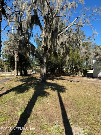 1307 Odessa St, Jacksonville, FL 32206