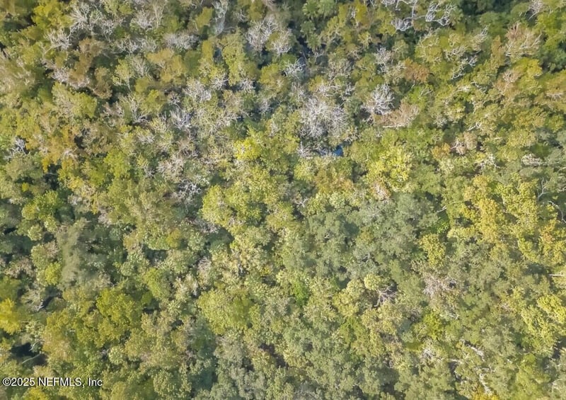 0 Paige Ave, New Smyrna Beach, FL 32168