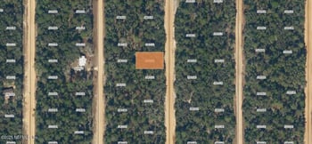 0000000 Neilsen Ave, Interlachen, FL 32148