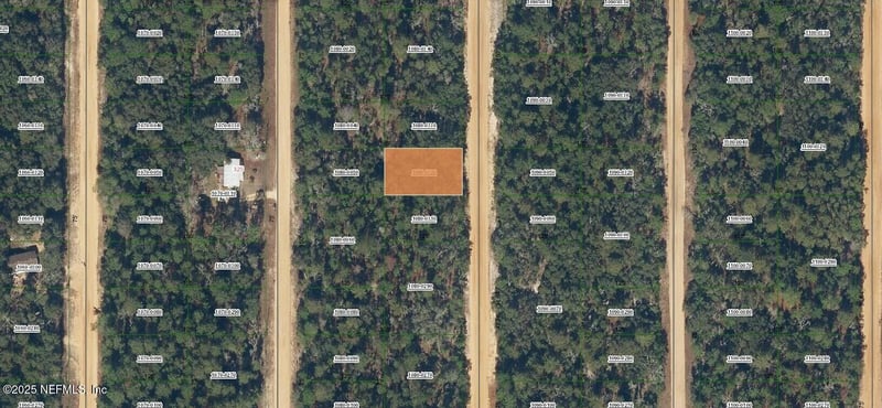 0000000 Neilsen Ave, Interlachen, FL 32148