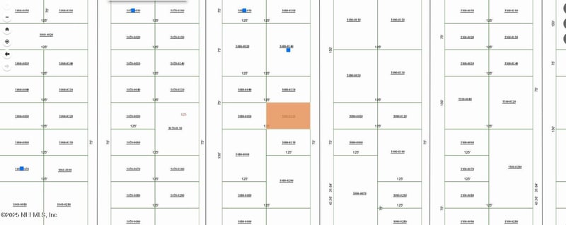 0000000 Neilsen Ave, Interlachen, FL 32148