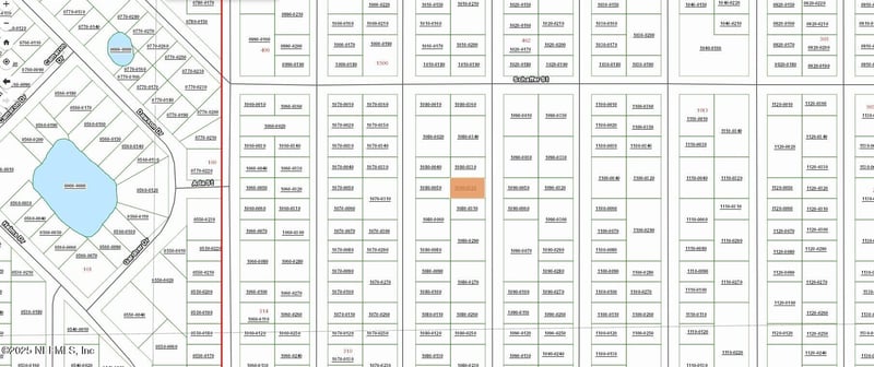 0000000 Neilsen Ave, Interlachen, FL 32148