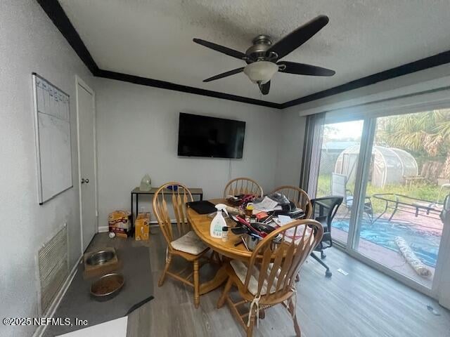 231 Holly Ln, Palatka, FL 32177