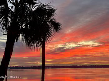 1560 Lancaster Ter #204, Jacksonville, FL 32204