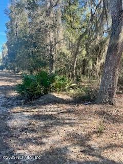 0230-0040 Indian Lakes Rd, Hawthorne, FL 32640