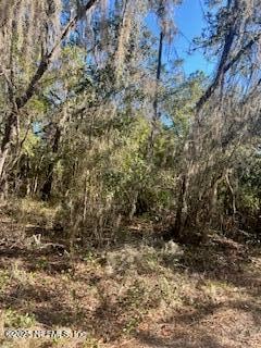 0230-0040 Indian Lakes Rd, Hawthorne, FL 32640