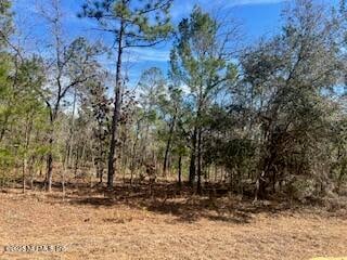 200 Melrose Landing Dr, Hawthorne, FL 32640