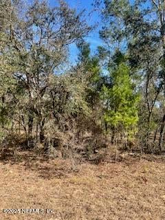 200 Melrose Landing Dr, Hawthorne, FL 32640