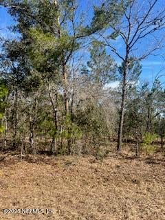 200 Melrose Landing Dr, Hawthorne, FL 32640