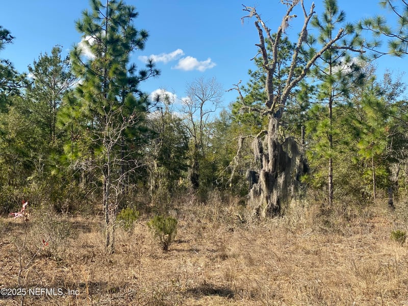 235 Michigan Dr, Hawthorne, FL 32640