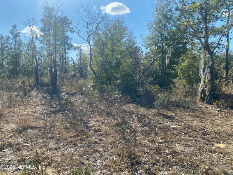 235 Michigan Dr, Hawthorne, FL 32640