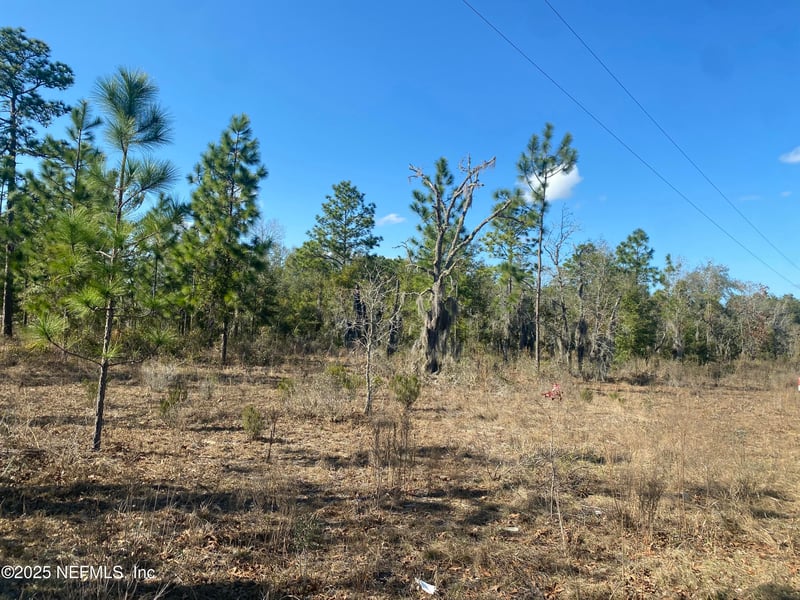 235 Michigan Dr, Hawthorne, FL 32640