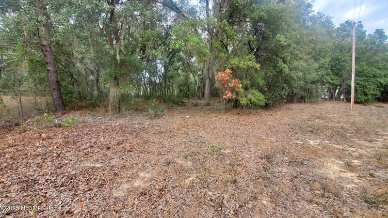 217 Lake Lucy Crescent, Interlachen, FL 32148