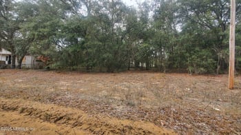 217 Lake Lucy Crescent, Interlachen, FL 32148