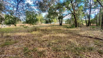 235 Hayes Dr, Interlachen, FL 32148