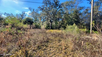 127 Cherokee Ave, Interlachen, FL 32148