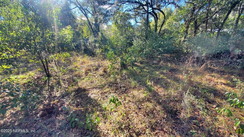 127 Cherokee Ave, Interlachen, FL 32148