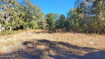 602 Shappell Ave, Interlachen, FL 32148