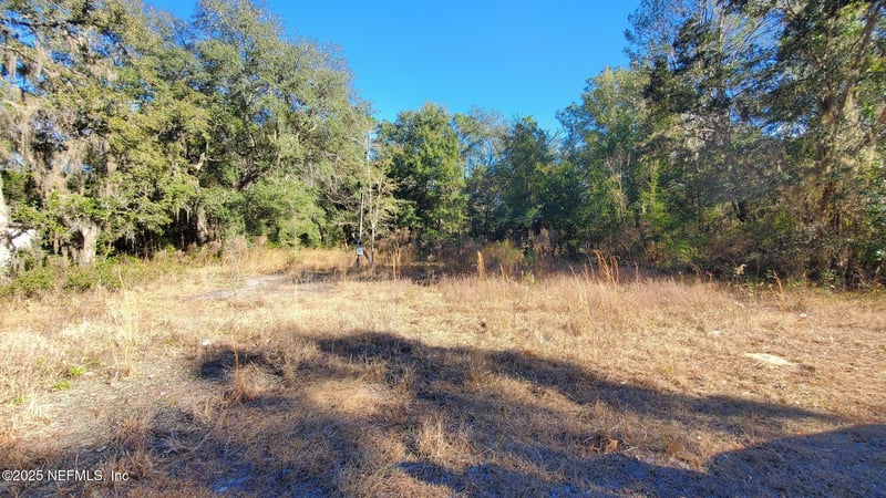 602 Shappell Ave, Interlachen, FL 32148