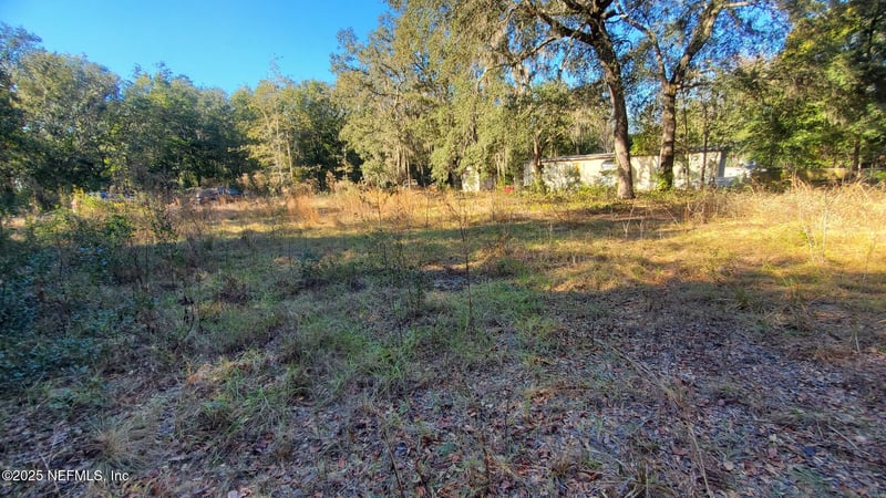 602 Shappell Ave, Interlachen, FL 32148