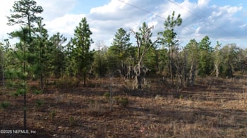 235 Michigan Dr, Hawthorne, FL 32640