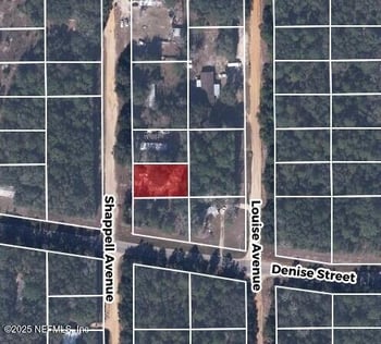 602 Shappell Ave, Interlachen, FL 32148