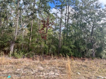 5710 Campo Dr, Keystone Heights, FL 32656