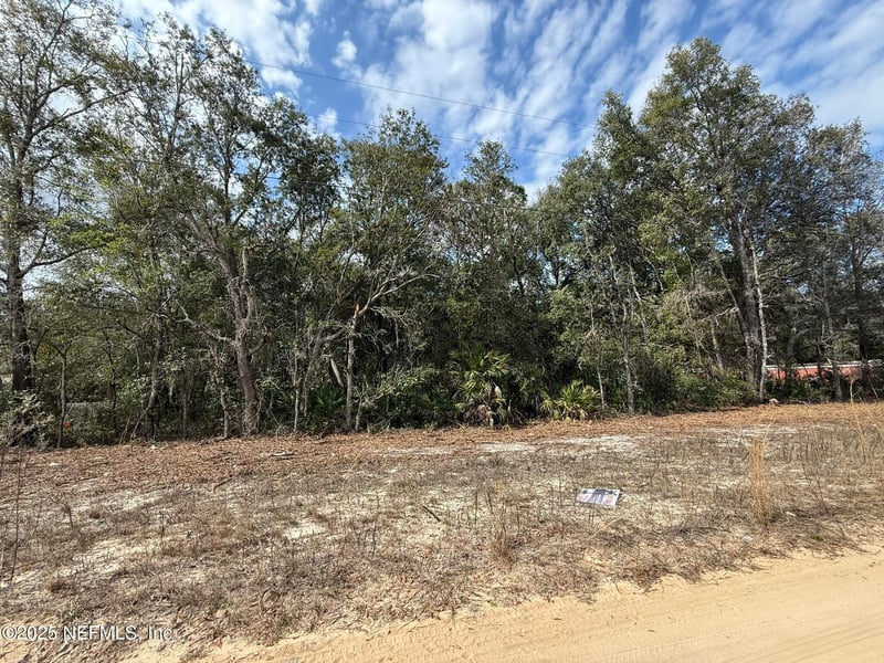 111 George Way, Interlachen, FL 32148