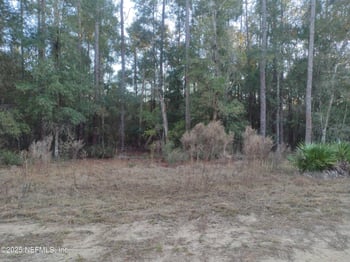 93 Tucker Lake Rd, Melrose, FL 32666